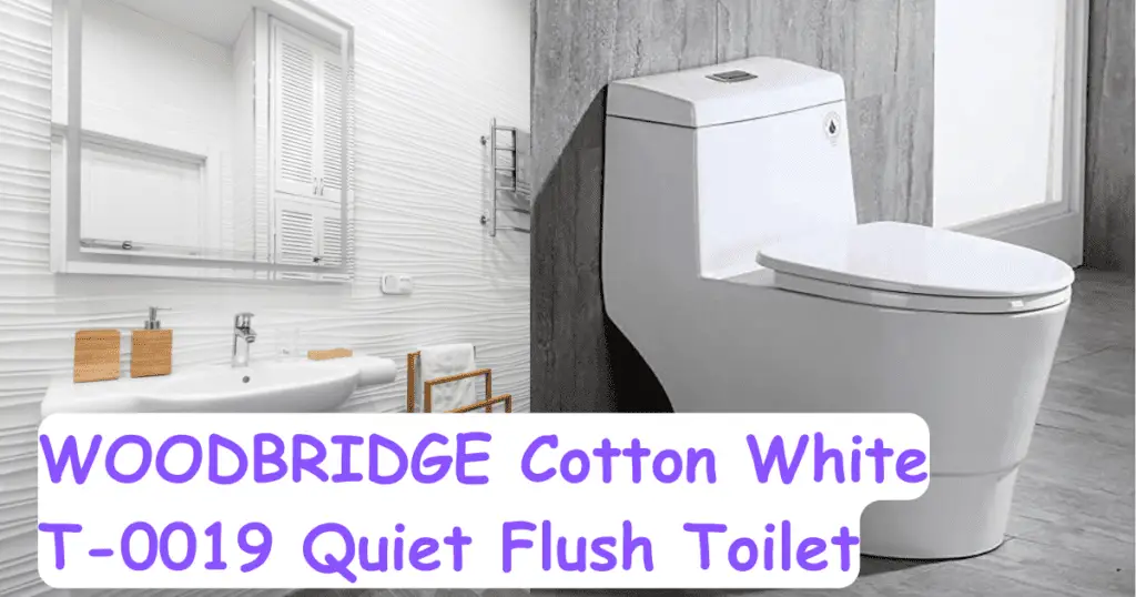 Woodbridge T-0019 Dual Flush Toilet
